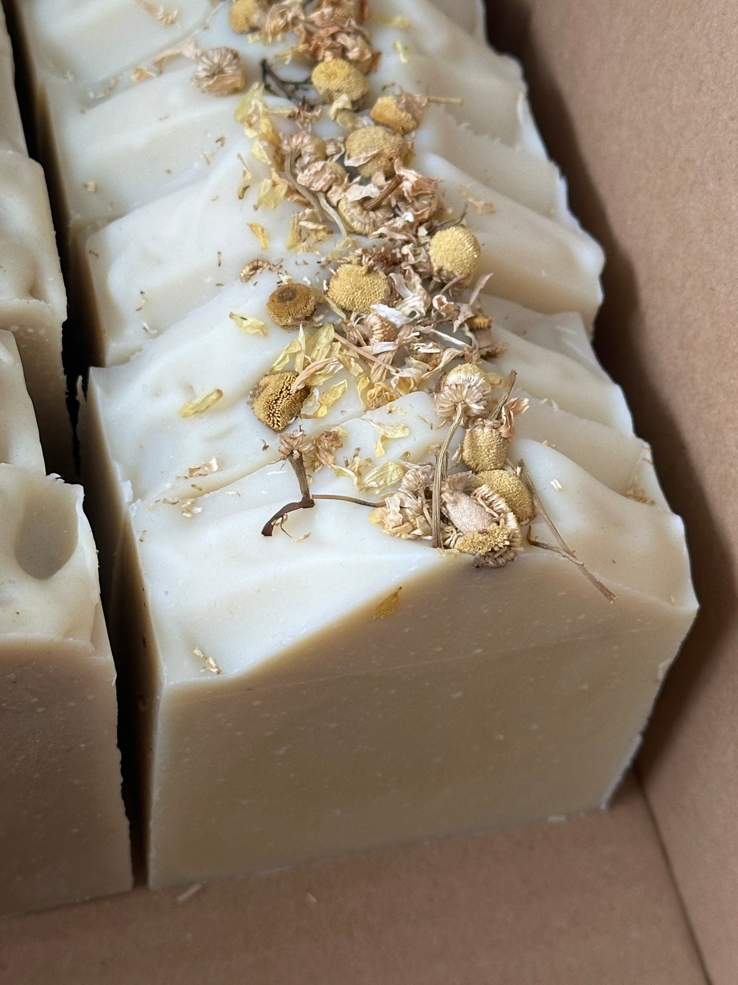 Botanical Bundle x20