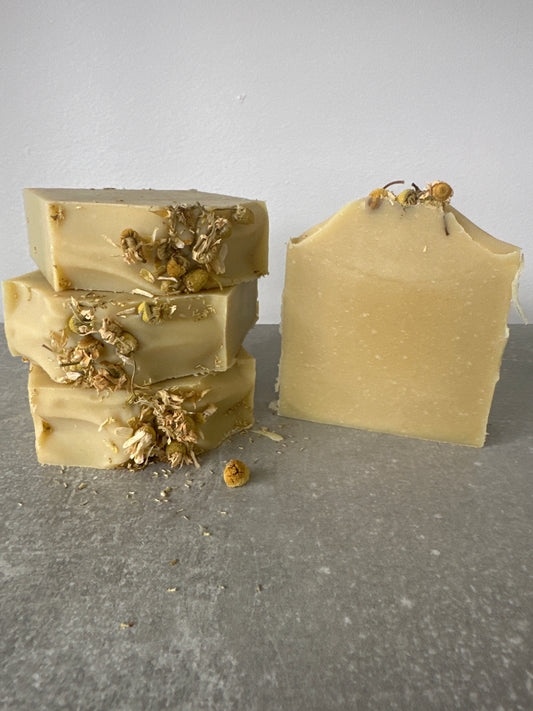 Two chamomile soap bars with chamomile flowers on a top