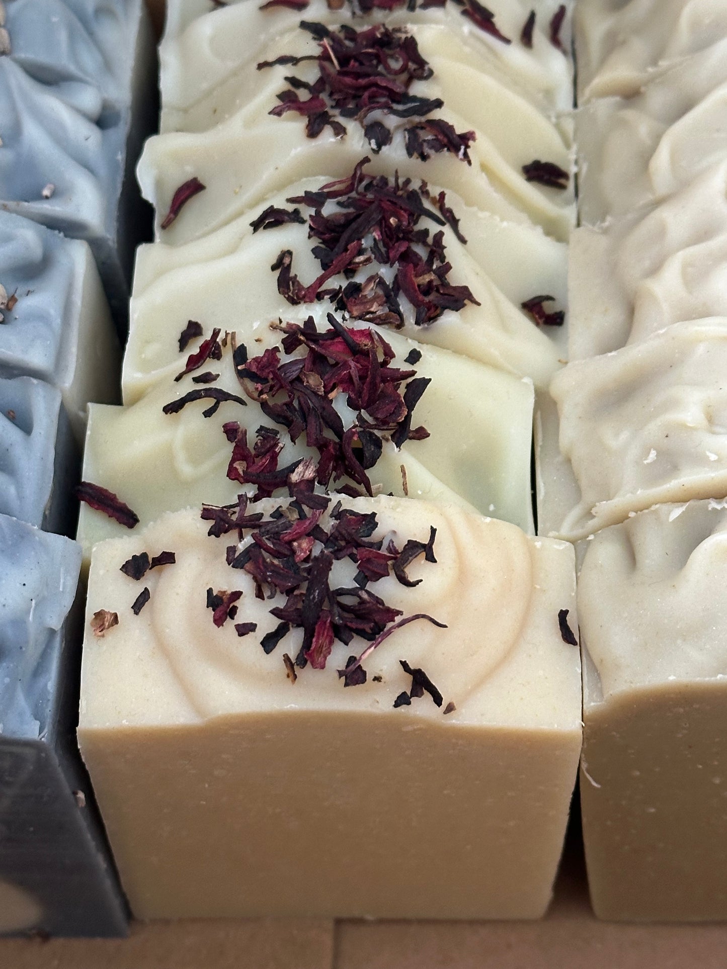 Botanical Bundle x20