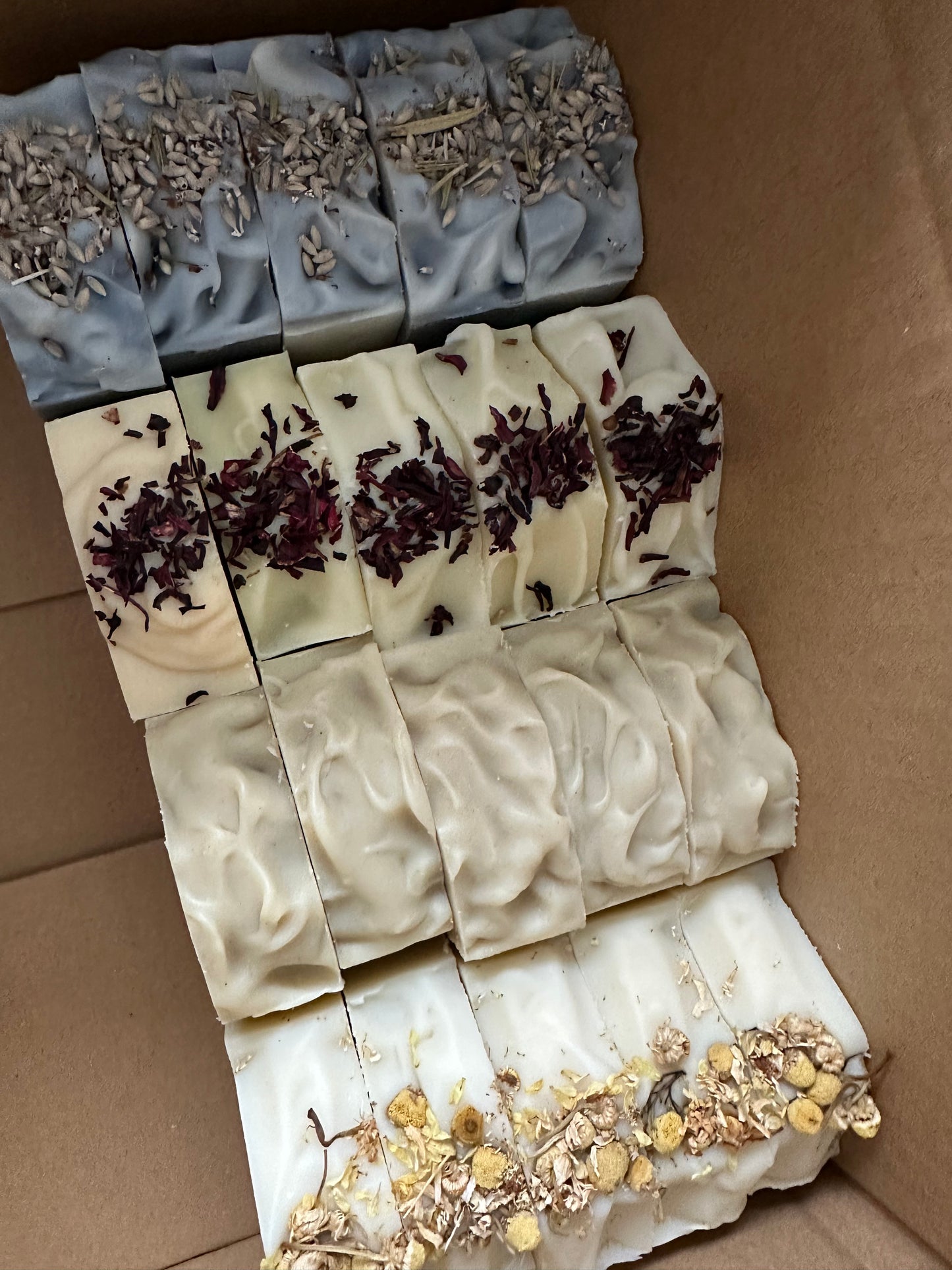 Botanical Bundle x20